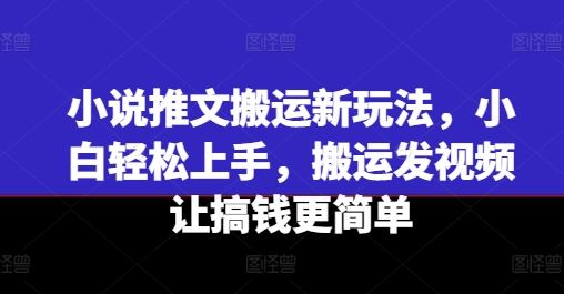 小说推文搬运新玩法，小白轻松上手，搬运发视频让搞钱更简单-墨韵博客