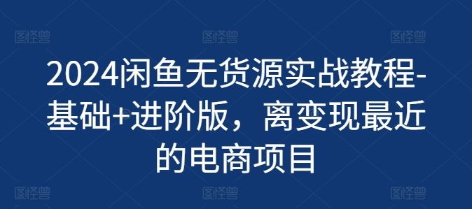 2024闲鱼无货源实战教程-基础+进阶版，离变现最近的电商项目-墨韵博客