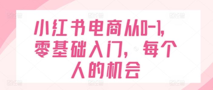 小红书电商从0-1，零基础入门，每个人的机会-墨韵博客