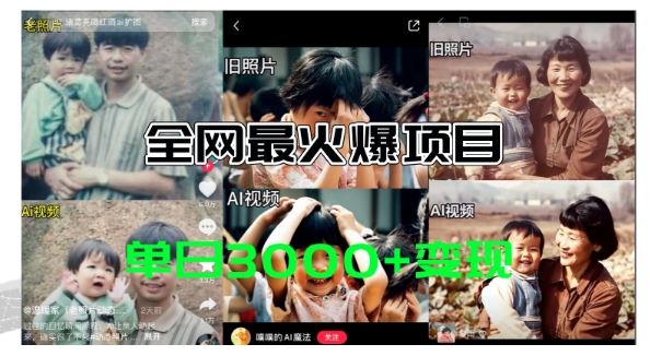 全网爆火的AI让老照片动起来教程，蹭热点日赚3k+，内含免费工具一键可生成【揭秘】-墨韵博客