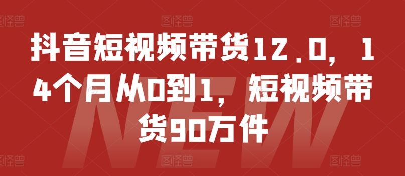 抖音短视频带货12.0，14个月从0到1，短视频带货90万件-墨韵博客