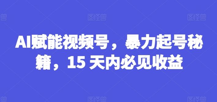 AI赋能视频号，暴力起号秘籍，15 天内必见收益【揭秘】-墨韵博客