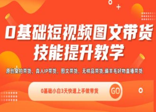 0基础短视频图文带货实操技能提升教学(直播课+视频课),0基础小白3天快速上手做带货-墨韵博客