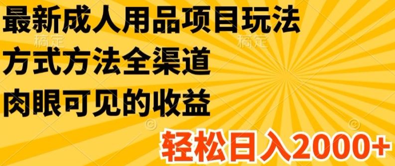 最新成人用品项目玩法，方式方法全渠道，轻松日入2K+【揭秘】-墨韵博客