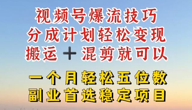 视频号爆流技巧，分成计划轻松变现，搬运 +混剪就可以，一个月轻松五位数稳定项目【揭秘】-墨韵博客