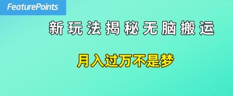 简单操作，每天50美元收入，搬运就是赚钱的秘诀【揭秘】-墨韵博客