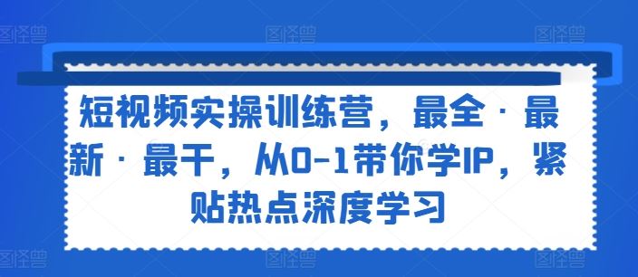 短视频实操训练营，最全·最新·最干，从0-1带你学IP，紧贴热点深度学习-墨韵博客