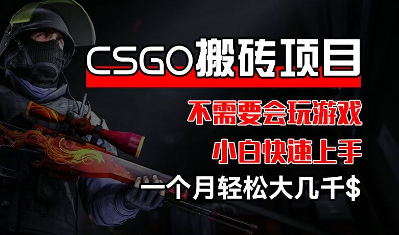 CSGO 装备搬砖项目，操作简单，不需要会玩游戏，小白也能快速上手，一个月轻松大几千【揭秘】-墨韵博客