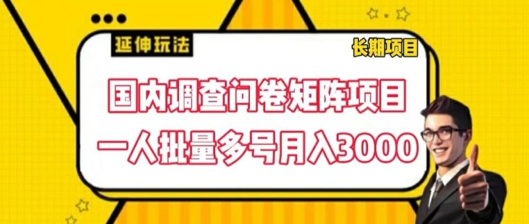 国内调查问卷矩阵项目，一人批量多号月入3000【揭秘】-墨韵博客
