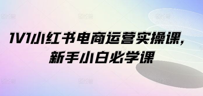 1V1小红书电商运营实操课，新手小白必学课-墨韵博客