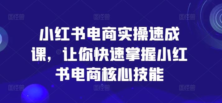 小红书电商实操速成课，让你快速掌握小红书电商核心技能-墨韵博客