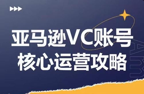 亚马逊VC账号核心玩法解析，实战经验拆解产品模块运营技巧，提升店铺GMV，有效提升运营利润-墨韵博客