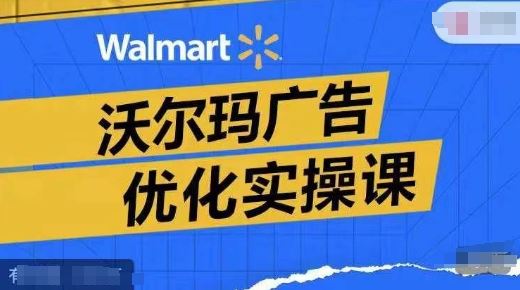 沃尔玛广告优化实操课，广告报告实操讲解，广告如何提高转化和ROAS等-墨韵博客