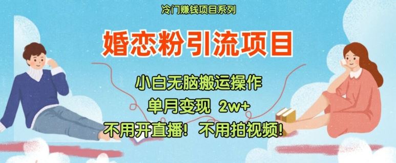 小红书婚恋粉引流，不用开直播，不用拍视频，不用做交付【揭秘】-墨韵博客
