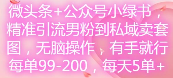 微头条+公众号小绿书，精准引流男粉到私域卖套图，无脑操作，有手就行，每单99-200，每天5单-墨韵博客