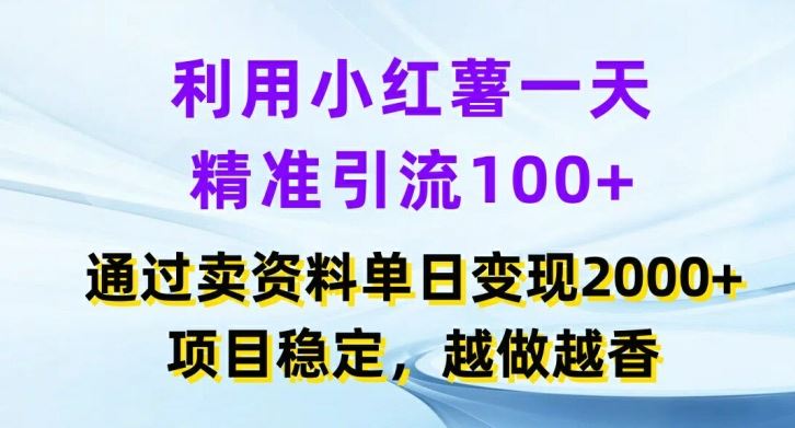 利用小红书一天精准引流100+，通过卖项目单日变现2k+，项目稳定，越做越香【揭秘】-墨韵博客