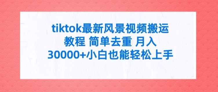 tiktok最新风景视频搬运教程 简单去重 月入3W+小白也能轻松上手【揭秘】-墨韵博客