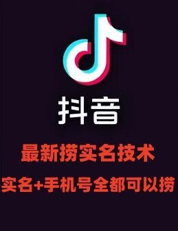 最新技术抖音捞实名+捞手机号技术，抖音直播封禁释放十名/手机号，直接替换出来!-墨韵博客