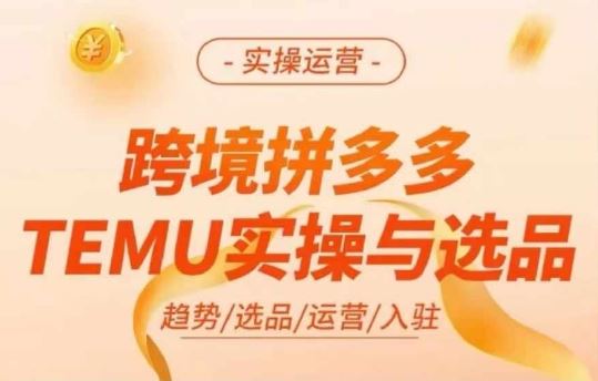 跨境拼多多TEMU实操与选品，多多temu跨境选品运营实操-墨韵博客