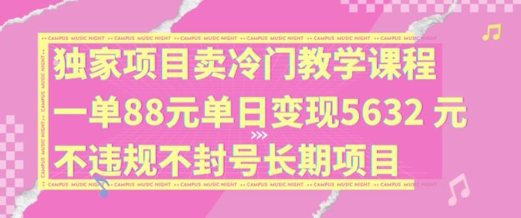 独家项目卖冷门教学课程一单88元单日变现5632元违规不封号长期项目【揭秘】-墨韵博客