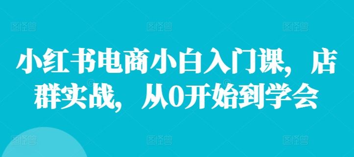 小红书电商小白入门课，店群实战，从0开始到学会-墨韵博客
