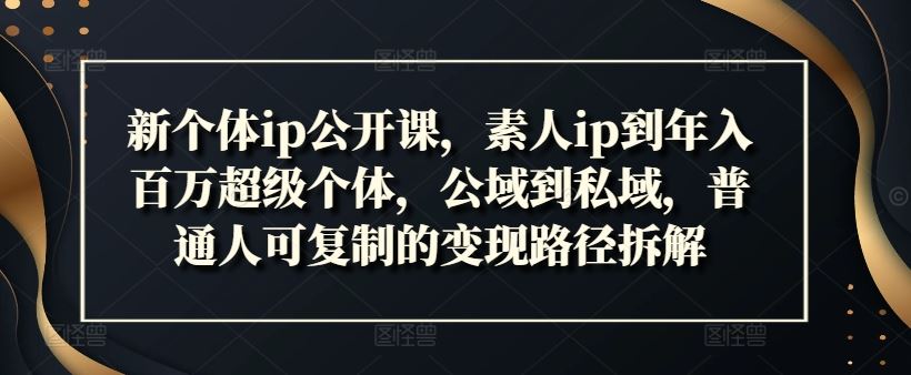 新个体ip公开课，素人ip到年入百万超级个体，公域到私域，普通人可复制的变现路径拆解-墨韵博客