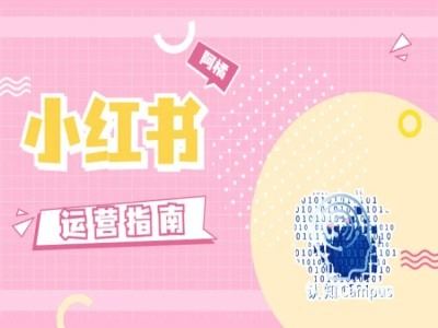 小红书运营指南，没有套路，全是经验-墨韵博客