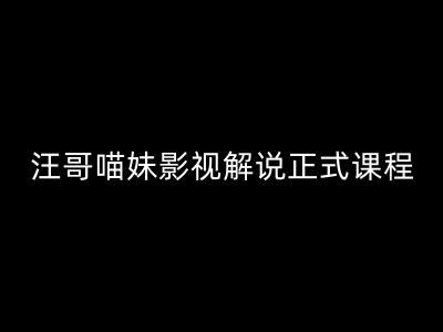 汪哥影视解说正式课程：剪映/PR教学/视解说剪辑5大黄金法则/全流程剪辑7把利器等等-墨韵博客