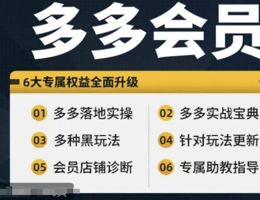 拼多多会员，拼多多实战宝典+实战落地实操，从新手到高阶内容全面覆盖-墨韵博客