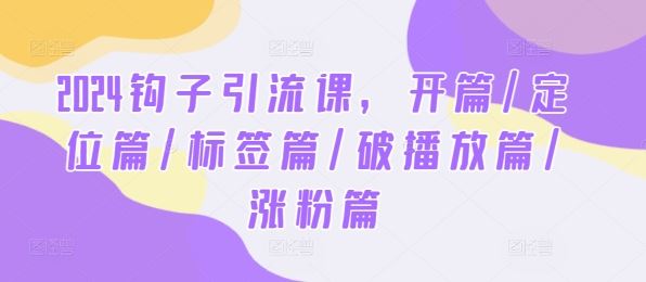 2024钩子引流课，开篇/定位篇/标签篇/破播放篇/涨粉篇-墨韵博客