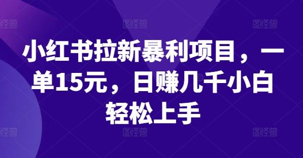 小红书拉新暴利项目，一单15元，日赚几千小白轻松上手【揭秘】-墨韵博客