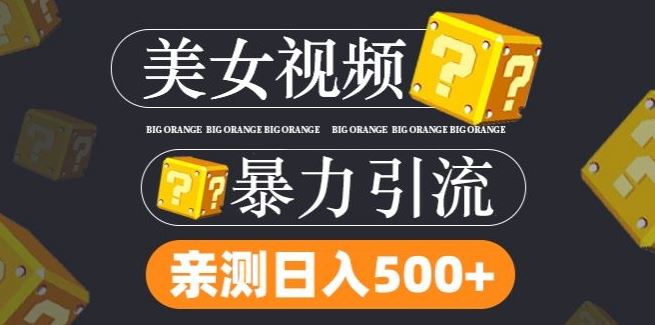 搬运tk美女视频全网分发，日引s粉300+，轻松变现，不限流量不封号【揭秘】-墨韵博客