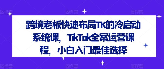 跨境老板快速布局TK的冷启动系统课，TikTok全案运营课程，小白入门最佳选择-墨韵博客