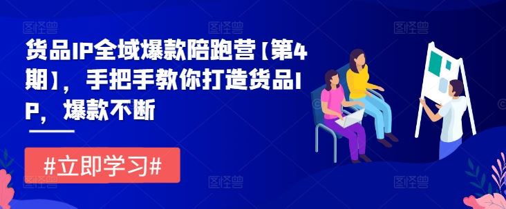 货品IP全域爆款陪跑营【第4期】，手把手教你打造货品IP，爆款不断-墨韵博客