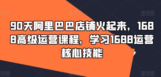 90天阿里巴巴店铺火起来，1688高级运营课程，学习1688运营核心技能-墨韵博客
