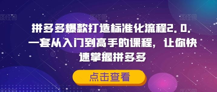拼多多爆款打造标准化流程2.0，一套从入门到高手的课程，让你快速掌握拼多多-墨韵博客