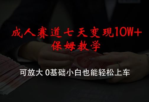 成人赛道七天变现10W+保姆教学，可放大，0基础小白也能轻松上车【揭秘】-墨韵博客