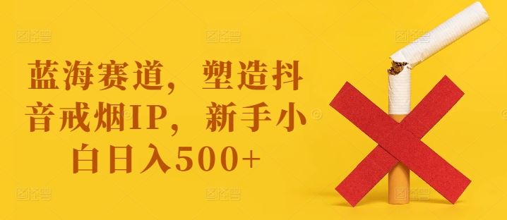 蓝海赛道，塑造抖音戒烟IP，新手小白日入500+【揭秘】-墨韵博客