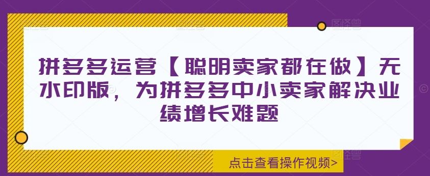 拼多多运营【聪明卖家都在做】无水印版，为拼多多中小卖家解决业绩增长难题-墨韵博客