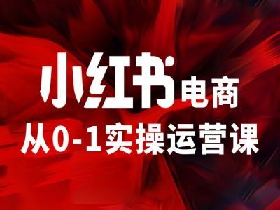 小红书电商从0-1实操运营课，让你从小白到精英-墨韵博客