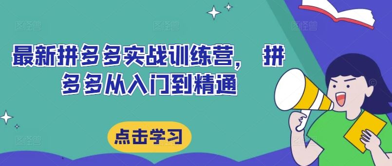 最新拼多多实战训练营， 拼多多从入门到精通-墨韵博客