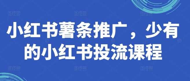 小红书薯条推广，少有的小红书投流课程-墨韵博客