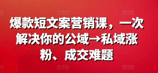 爆款短文案营销课，一次解决你的公域→私域涨粉、成交难题-墨韵博客