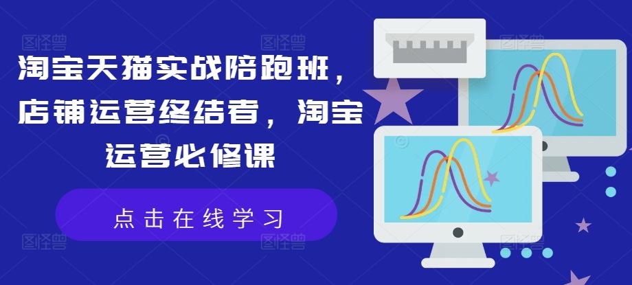 淘宝天猫实战陪跑班，店铺运营终结者，淘宝运营必修课-墨韵博客