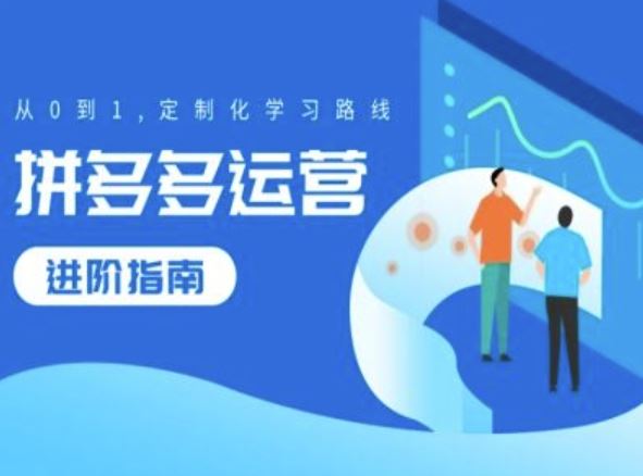 拼多多运营进阶指南，从0到1定制化学习路线-墨韵博客