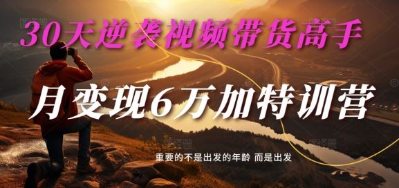 30天逆袭视频带货高手，单月变现6万加特训营-麦子甜-墨韵博客