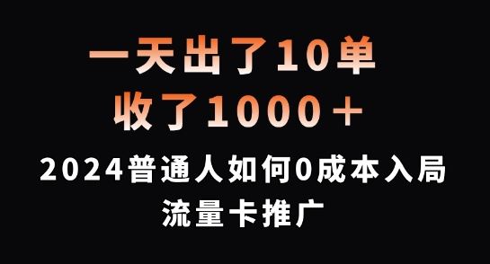 一天出了10单，收了1000+，2024普通人如何0成本入局流量卡推广【揭秘】-墨韵博客
