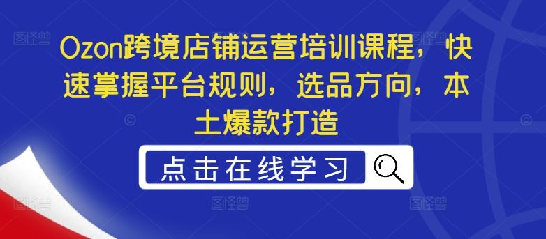 Ozon跨境店铺运营培训课程，快速掌握平台规则，选品方向，本土爆款打造-墨韵博客