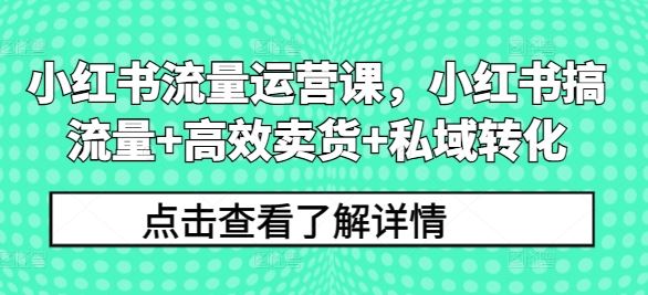 小红书流量运营课，小红书搞流量+高效卖货+私域转化-墨韵博客
