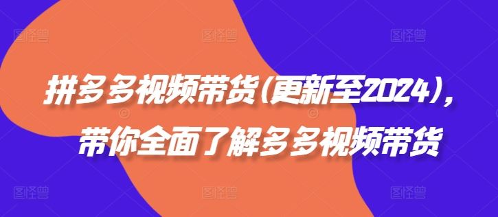 拼多多视频带货(更新至2024)，带你全面了解多多视频带货-墨韵博客